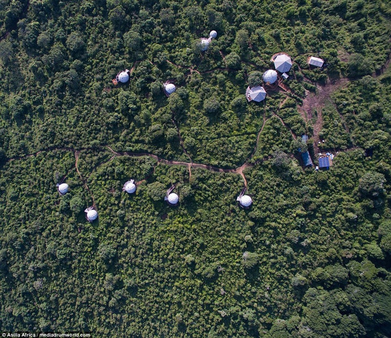 خانه درختی های لوکس جنگل های آفریقا