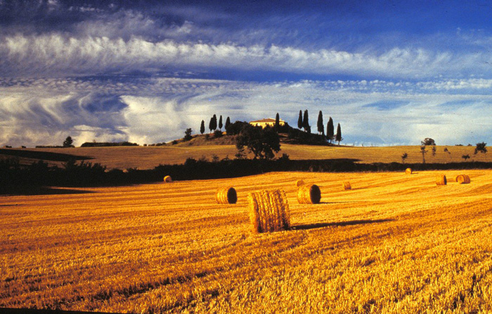 ‏Pienza and Val d'Orcia‏