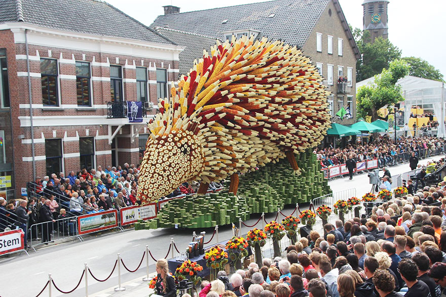 فستیوال گل هلند