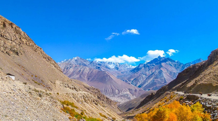 آیا تاجیکستان ویزا میخواهد